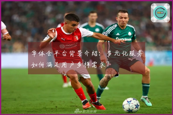 华体会平台背景介绍：多元化服务如何满足用户多样需求？